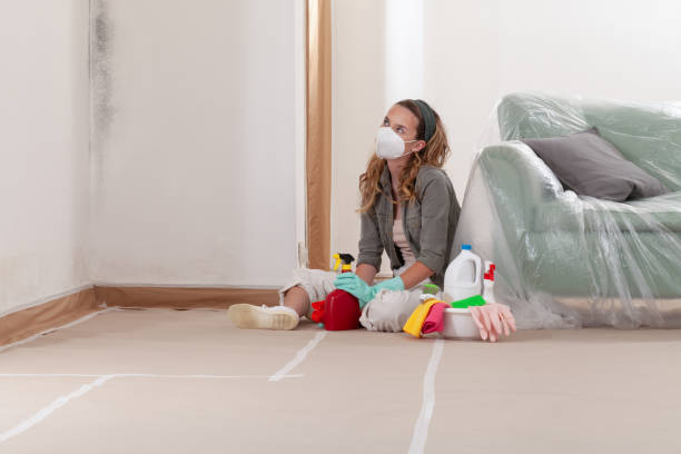 Reliable Commercial Mold Remediation contractor in Lakewood, WA by 24 Hour Mold Removal